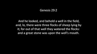 Genesis Chapter 29