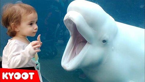 Funny Kids at the Aquarium | Girl SPOOKED By A Beluga Whale! part 1