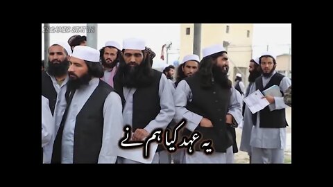 Allama Hafiz Khadim Hussan Rizvi |Allah pak tal ban ki hifazat farmay aamen | saad rizvi status