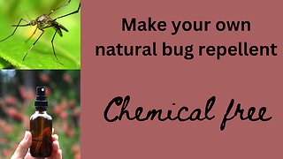 Natural Chemical free bug repellent