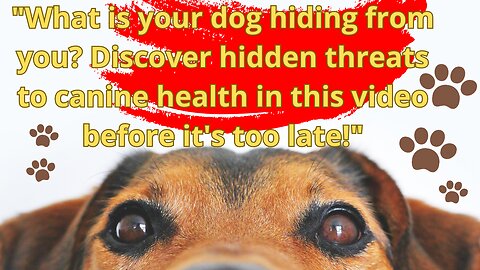 ✅Protect your dog's health today! Learn how to prevent diseases with these essential tips Watch now