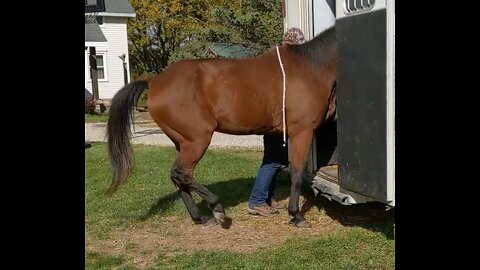 Randy sending JJ in to trailer - 7 Oct 2022