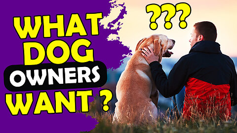 9 THINGS ALL DOG OWNERS WANT