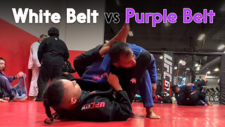 Jiu Jitsu White Belt vs Purple Belt Ray | Circadian MMA (11-07-2022)