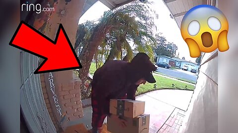 Porch Pirates Caught On Ring Doorbell Camera (Compilation)