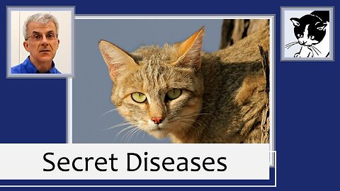 Cat Health: Secret Diseases