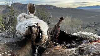 Exploring The Great Basin