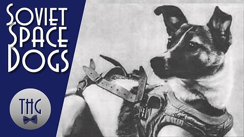 Laika and the Soviet space dogs