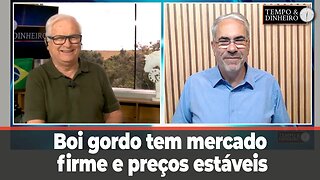 Boi gordo tem mercado firme e preços estáveis a espera do consumo de final de ano