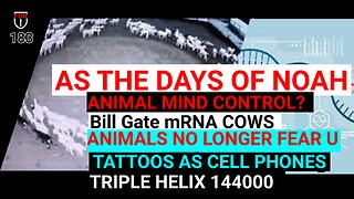 Are we Seeing Animal Brain Control?