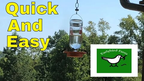 Do It YOURSELF Hummingbird Nectar | So Quick and Easy to make!