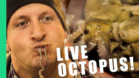 Would you eat a live octopus? - South Korea