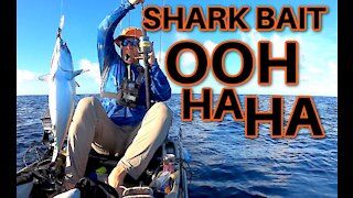 Catching Shark Bait || Offshore Kayak Fishing || Destin Florida Vacation