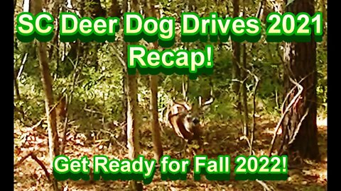 SC Deer Dog Drives 2021 Recap! It's Almost Go Time!