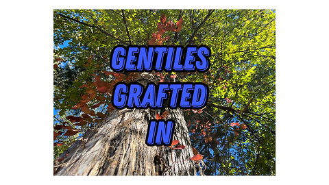 Gentiles Grafted In