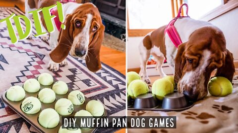 TDIF! Muffin Pan Dog Games