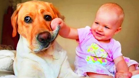 Funny and Cute Moments of Babies and Dogs