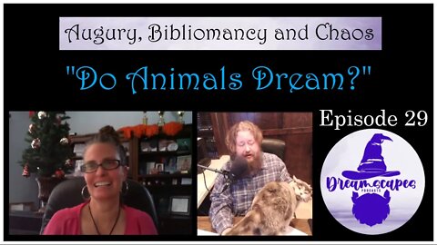 A.B.C. Ep 29: Do Animals Dream?