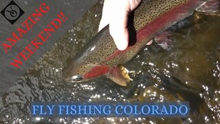 Steamboat Springs Fly Fishing Colorado