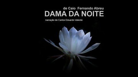 AUDIOBOOK - DAMA DA NOITE - de Caio Fernando Abreu