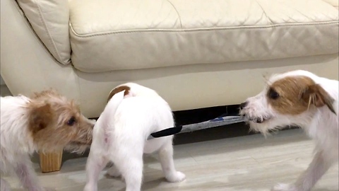 Tug of war