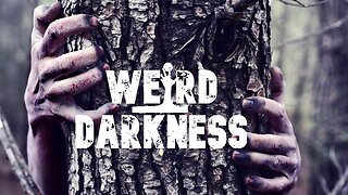 “THERE IS NOWHERE TO RUN IN THE WOODS” - True Stories of Terror in the Wilderness! #WeirdDarkness