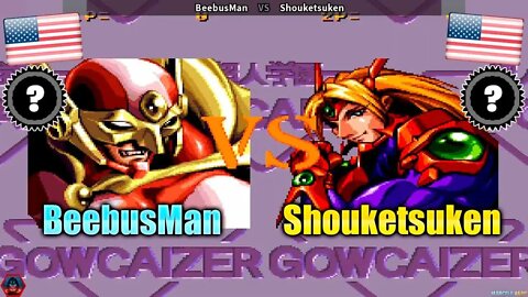 Voltage Fighter: Gowcaizer (BeebusMan Vs. Shouketsuken) [U.S.A. Vs. U.S.A.]