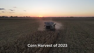 Corn Harvest of 2023