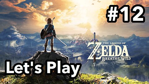 Let's Play | Zelda - Breath of the Wild Master Mode - Part 12