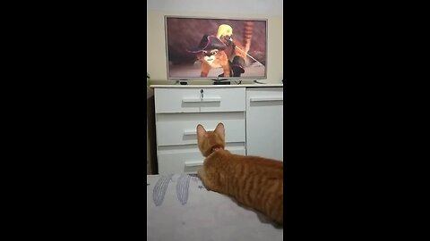 And my cat who watches the booted cat See original
