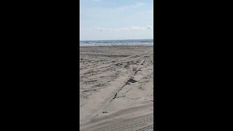 Long Beach Wa.