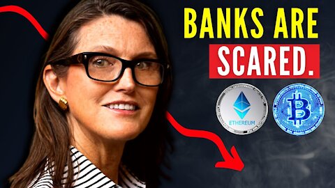 Cathie Wood Ethereum "Banks are SCARED!" | Cathie Wood Interview and Latest Update on Cryptocurrency