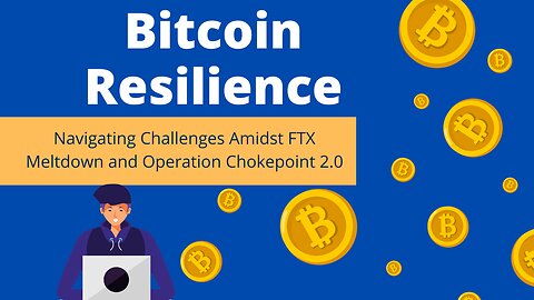 Bitcoin Resilience | Navigating Challenges Amidst FTX Meltdown and Operation Chokepoint 2.0