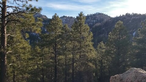 Hiking Hualapai Mountains