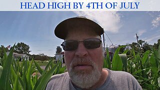 Head High By the 4th of July