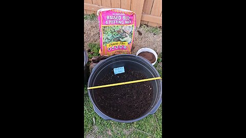 Planting Seed Potatoes in 25 Gallon Plastic Tubs