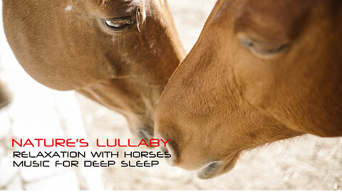 Nature's Lullaby: relaxation with horses and Music for Deep Sleep