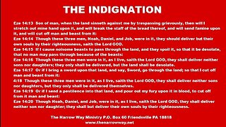 THE INDIGNATION