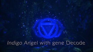 Indigo Angel with Gene Decode Update