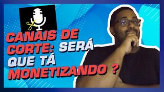 Canais de corte ainda monetizam? Dá uma olhada nesse canal (COMPROVADO MAIO 2022 )