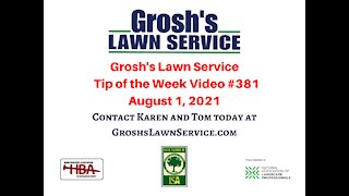 Landscaping Lawn Service Martinsburg WV Video