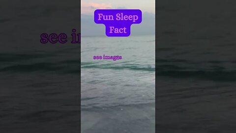 Beach Sleep Secret? 😴🏖️ | Surprising Fact Revealed! @AmbientNoiseCo. #beachvibes #facts #ocean