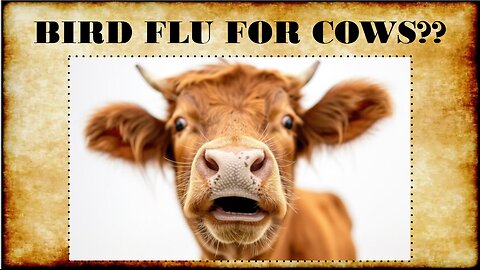 BIRD FLU FOR COWS?