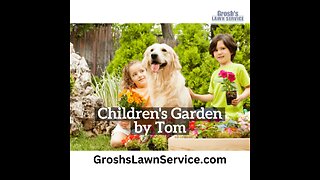 Childrens Garden Landscape Contractor The Best