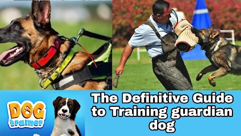 The Definitive Guide to Training guardian dog