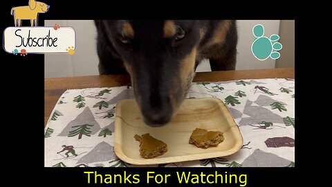 How To Make your own Dog Liver Treats.
