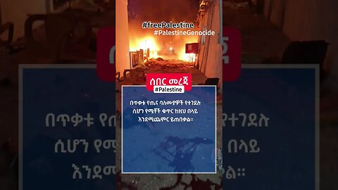 አሁን ሰበር መረጃ ፍልስጤም #palestine #ሰበር #palestine_tv #palestinefree #አዲስ #ድንቅልጆች #fetadaily #ዜና