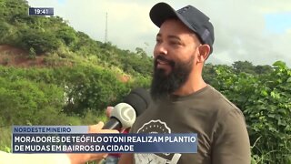 Nordeste Mineiro: Moradores de Teófilo Otoni realizam plantio de mudas em bairros de Teófilo Otoni