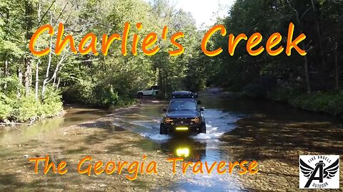 Exploring the Georgia Traverse: Overlanding Charlie's Creek Trail near Clayton, GA