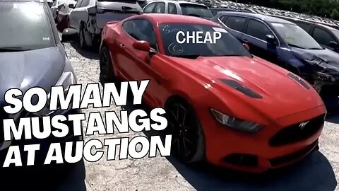 So Many Mustangs Cheap At Auction Copart Walk Around